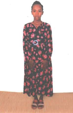 slide-2, House Maid , Ethiopia , House keeping , Babysitter , ironing