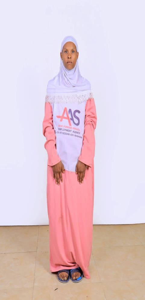 slide-2, House Maid , Ethiopia , House keeping , Babysitter , ironing