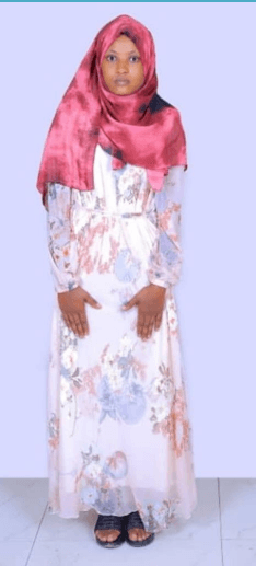 slide-2, House Maid , Ethiopia , House keeping , Babysitter , ironing