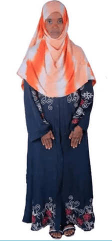 slide-2, House Maid , Ethiopia , House keeping , Babysitter , ironing